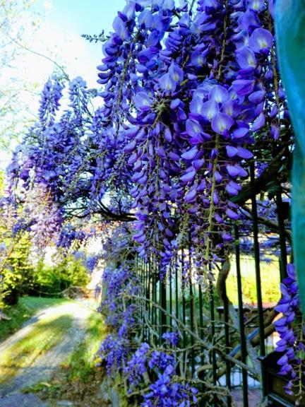 La Torretta Bed & Breakfast Torriglia Экстерьер фото